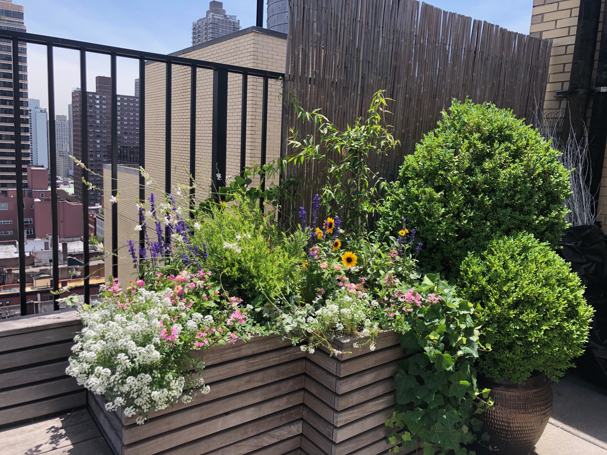 UES Summer Planting