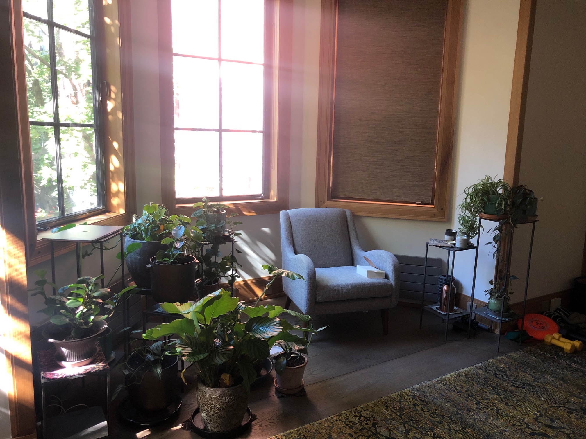 Drought Tolerant Interior Planting