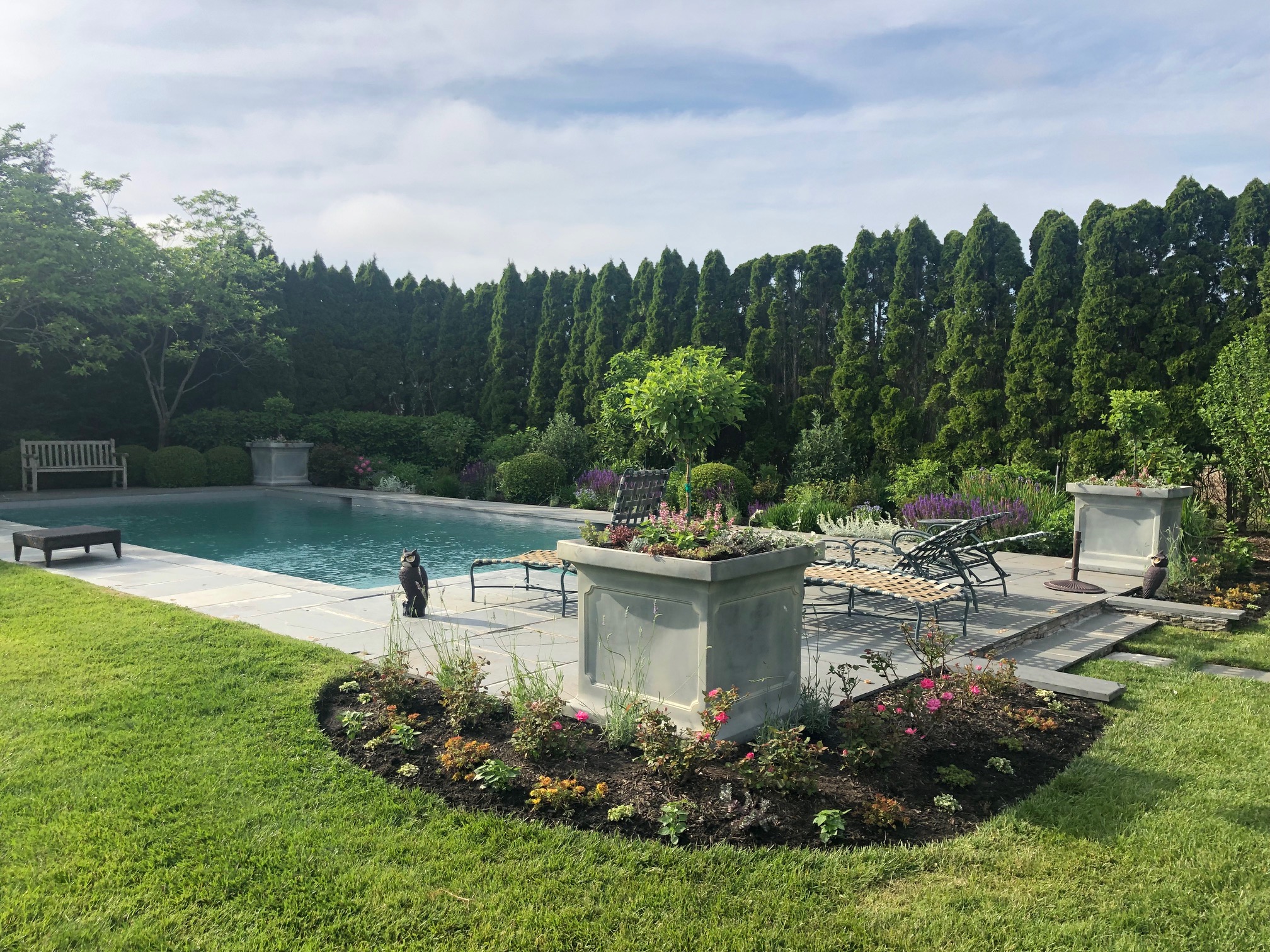 Long Island Restoration Planting